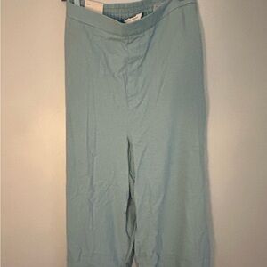 Banana Republic Light Blue Pants